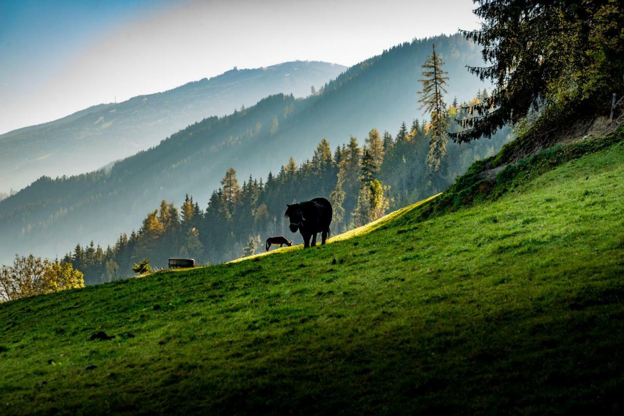 Stallhaeusl Schladming Exterior foto